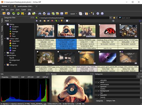 Powerful Image Viewer· XnView MP .